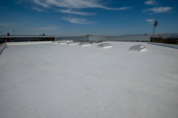 Best Chimney Flashing Repair  in Sterling Heights, MI