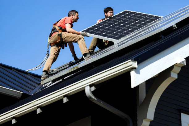 Best Roof Maintenance and Cleaning  in Sterling Heights, MI