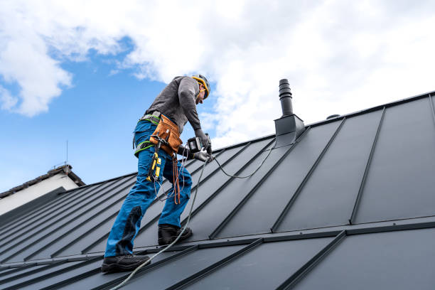 Best Solar Panel Roofing Installation  in Sterling Heights, MI