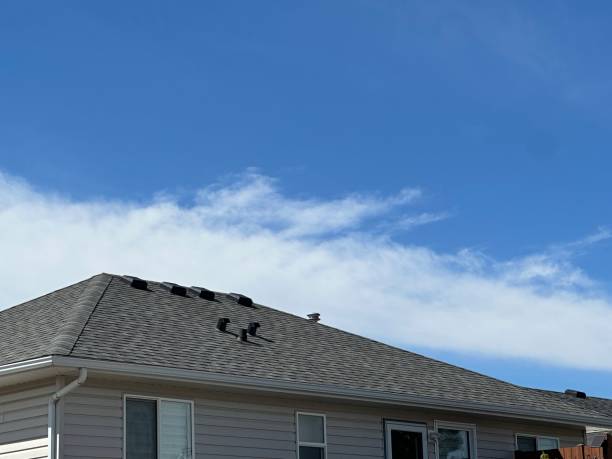 Best Gutter Installation and Repair  in Sterling Heights, MI