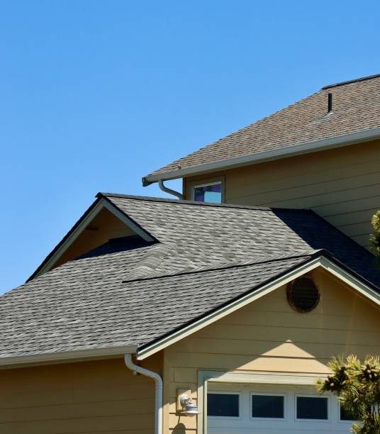 Best Roof Moss and Algae Removal  in Sterling Heights, MI